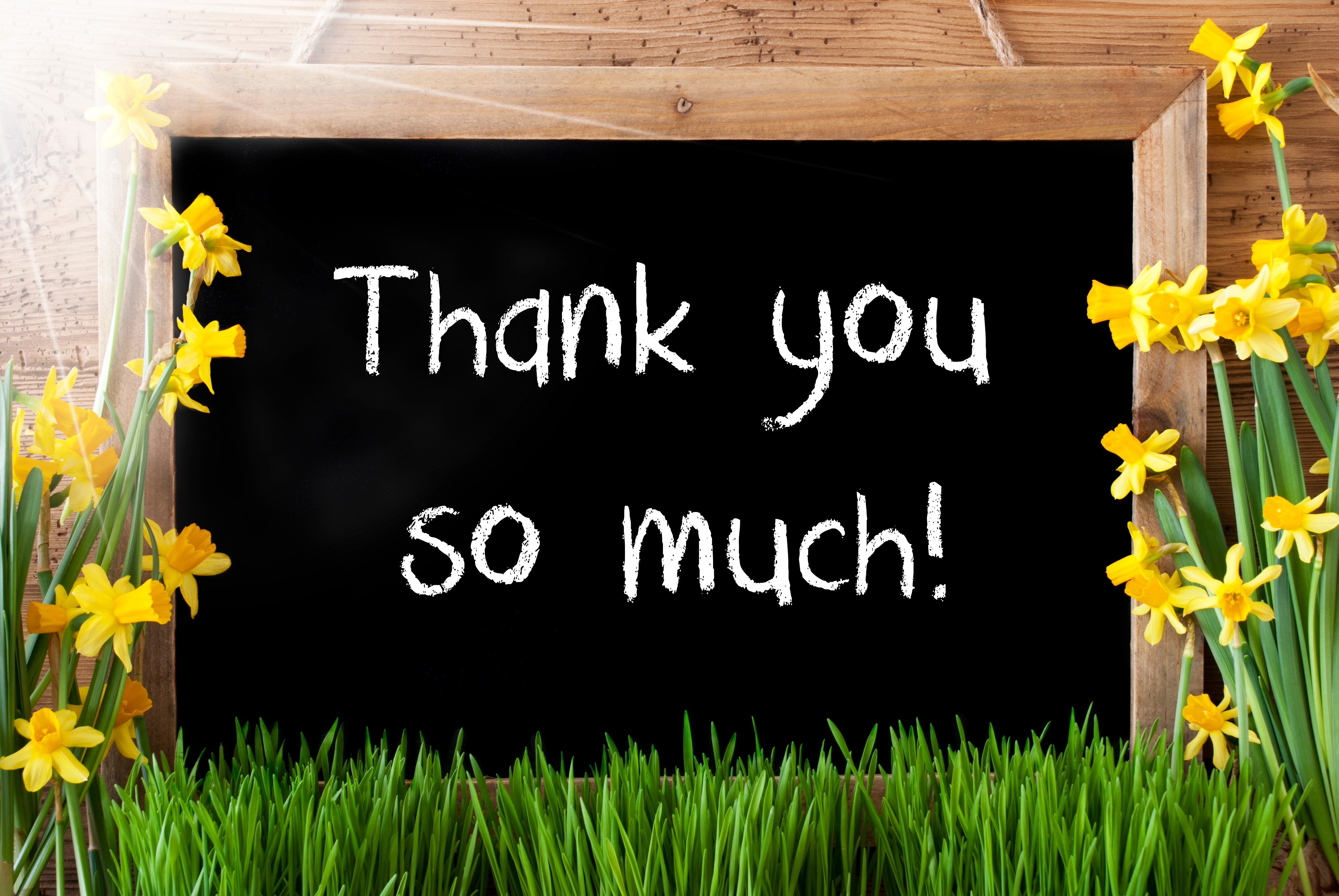 Thank you